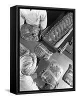 Packing Bacon Rashers, Danish Bacon Company, Selby, North Yorkshire, 1964-Michael Walters-Framed Stretched Canvas