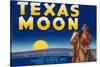 Packing Crate Label, Texas Moon-null-Stretched Canvas