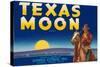 Packing Crate Label, Texas Moon-null-Stretched Canvas