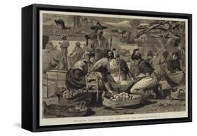 Packing Oranges in Andalusia for the English Market-Edwin Buckman-Framed Stretched Canvas
