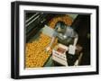 Black Frame
