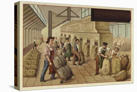 Packing Sacks of Cocoa in a Factory-null-Stretched Canvas