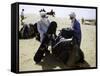 Packing up a Camel, Morocco-Michael Brown-Framed Stretched Canvas