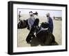 Packing up a Camel, Morocco-Michael Brown-Framed Photographic Print