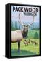 Packwood, Washington - Elk Herd-Lantern Press-Framed Stretched Canvas