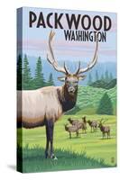 Packwood, Washington - Elk Herd-Lantern Press-Stretched Canvas