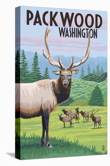 Packwood, Washington - Elk Herd-Lantern Press-Stretched Canvas