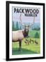 Packwood, Washington - Elk Herd-Lantern Press-Framed Art Print