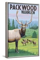 Packwood, Washington - Elk Herd-Lantern Press-Framed Art Print