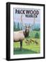 Packwood, Washington - Elk Herd-Lantern Press-Framed Art Print