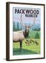 Packwood, Washington - Elk Herd-Lantern Press-Framed Art Print