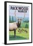 Packwood, Washington - Elk Herd-Lantern Press-Framed Art Print