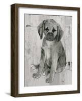 Paco in Grey Tones-Albena Hristova-Framed Art Print