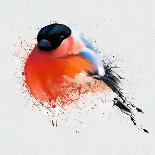 Pyrrhula. A Vivid Illustration of Bullfinch, close Up, with Elements of the Sketch and Spray Paint,-Pacrovka-Framed Art Print