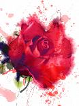 Red Rose. Watercolor-Pacrovka-Mounted Photographic Print