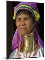 Padaung Woman of Karen Sub-Tribe Wearing Brass Necklace Which Elongates the Neck, Burma, Myanmar-Nigel Pavitt-Mounted Photographic Print