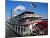 Paddle Steamer 'Natchez', on the Edge of the Mississippi River in New Orleans, Louisiana, USA-Bruno Barbier-Mounted Photographic Print