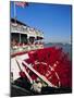 Paddle Steamer 'Natchez' on the Mississippi River, New Orleans, Louisiana, USA-Bruno Barbier-Mounted Photographic Print