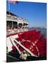 Paddle Steamer 'Natchez' on the Mississippi River, New Orleans, Louisiana, USA-Bruno Barbier-Mounted Photographic Print