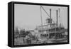 Paddle Wheeler at Levee at Vicksburg, Mississippi-null-Framed Stretched Canvas