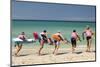 Paddleboarders on the beach, Surfers Paradise, City of Gold Coast, Queensland, Australia-Panoramic Images-Mounted Photographic Print