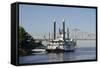 Paddlewheel Boat and Casino, Mississippi River, Port Area, Natchez, Mississippi, USA-Cindy Miller Hopkins-Framed Stretched Canvas