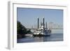 Paddlewheel Boat and Casino, Mississippi River, Port Area, Natchez, Mississippi, USA-Cindy Miller Hopkins-Framed Photographic Print