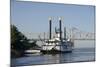 Paddlewheel Boat and Casino, Mississippi River, Port Area, Natchez, Mississippi, USA-Cindy Miller Hopkins-Mounted Photographic Print