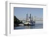 Paddlewheel Boat and Casino, Mississippi River, Port Area, Natchez, Mississippi, USA-Cindy Miller Hopkins-Framed Photographic Print