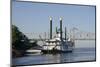 Paddlewheel Boat and Casino, Mississippi River, Port Area, Natchez, Mississippi, USA-Cindy Miller Hopkins-Mounted Photographic Print