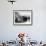 Paddlewheeler on the Mississippi-null-Framed Photographic Print displayed on a wall