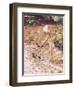 Paddling-Paul Gribble-Framed Giclee Print