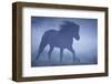 Paddock, Iceland Horse, Movement, Fogs, Series, Pasture, Meadow, Animals, Mammal, Horse-Ronald Wittek-Framed Premium Photographic Print