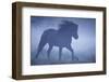 Paddock, Iceland Horse, Movement, Fogs, Series, Pasture, Meadow, Animals, Mammal, Horse-Ronald Wittek-Framed Photographic Print