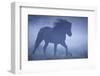 Paddock, Iceland Horse, Movement, Fogs, Series, Pasture, Meadow, Animals, Mammal, Horse-Ronald Wittek-Framed Photographic Print