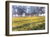 Paddock Web-Robert Goldwitz-Framed Photographic Print