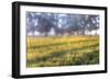 Paddock Web-Robert Goldwitz-Framed Photographic Print