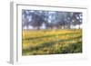 Paddock Web-Robert Goldwitz-Framed Photographic Print