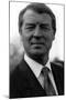 Paddy Ashdown, Lib Dem-null-Mounted Photographic Print