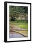 Paddy Farmers at Work in Rice Fields, Sumba, Indonesia, Southeast Asia, Asia-James Morgan-Framed Photographic Print