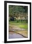 Paddy Farmers at Work in Rice Fields, Sumba, Indonesia, Southeast Asia, Asia-James Morgan-Framed Photographic Print