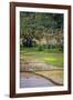 Paddy Farmers at Work in Rice Fields, Sumba, Indonesia, Southeast Asia, Asia-James Morgan-Framed Photographic Print