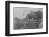 'Paddy Field near Gampola', c1890, (1910)-Alfred William Amandus Plate-Framed Photographic Print