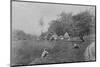 'Paddy Field near Gampola', c1890, (1910)-Alfred William Amandus Plate-Mounted Photographic Print