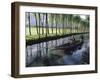 Paddy Fields and Waterway with Local Boat, Kashmir, India-John Henry Claude Wilson-Framed Photographic Print