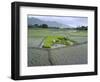 Paddy Fields, Farmers Planting Rice, Kashmir, India-John Henry Claude Wilson-Framed Photographic Print