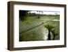 Paddy Fields, Tamil Nadu, India, Asia-Balan Madhavan-Framed Photographic Print