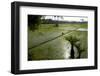 Paddy Fields, Tamil Nadu, India, Asia-Balan Madhavan-Framed Photographic Print