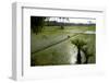 Paddy Fields, Tamil Nadu, India, Asia-Balan Madhavan-Framed Photographic Print