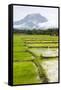 Paddy Fields with Mountain in the Background, Sri Lanka, Asia-Charlie-Framed Stretched Canvas